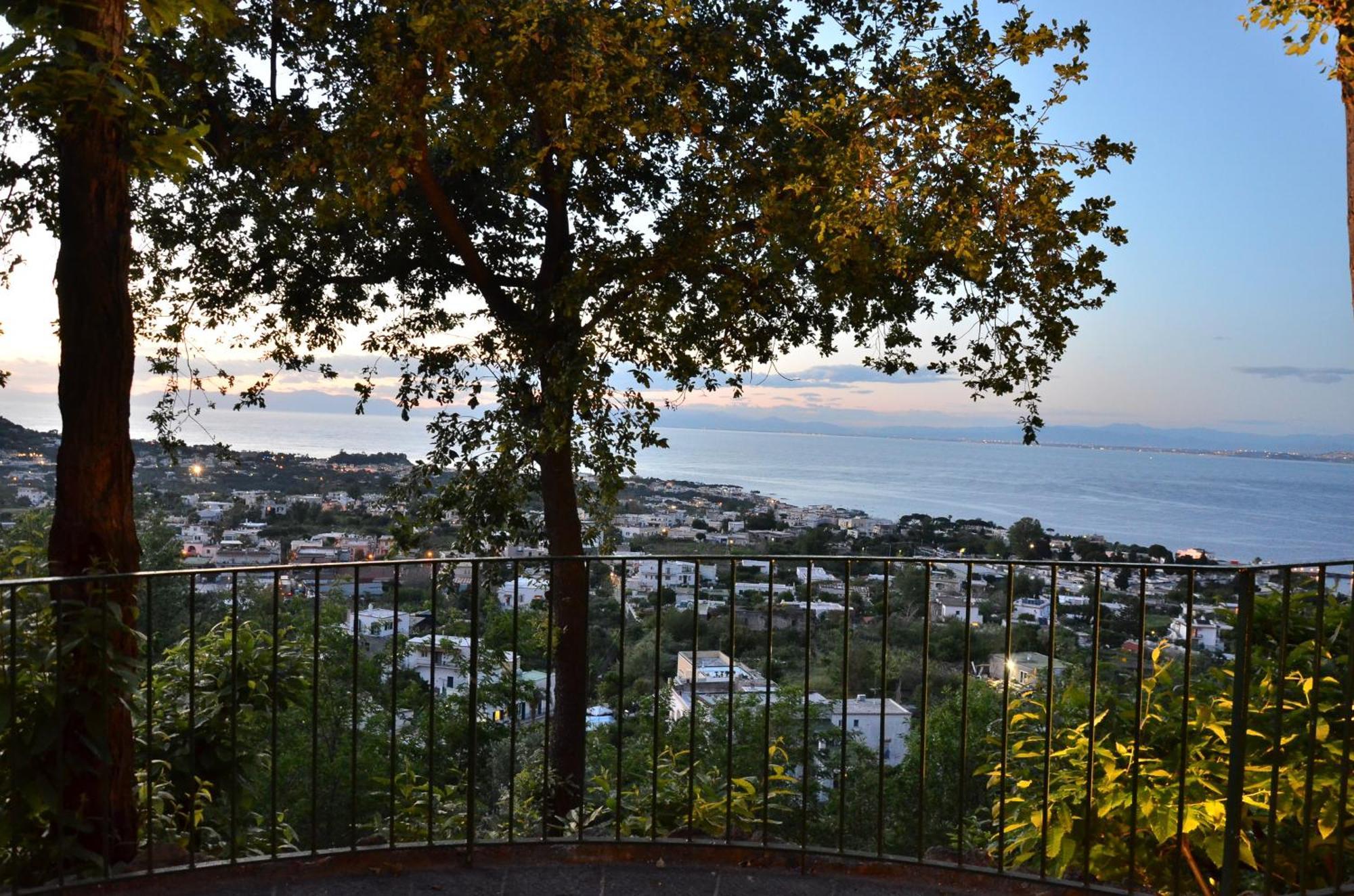 La Capannina - Hotel & Apartments Ischia Exterior photo